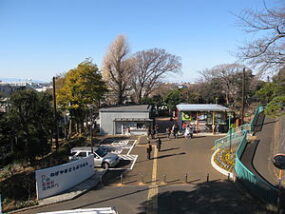 野毛山動物園お弁当持ち込み出来る？食べ物を食べる場所ある？
