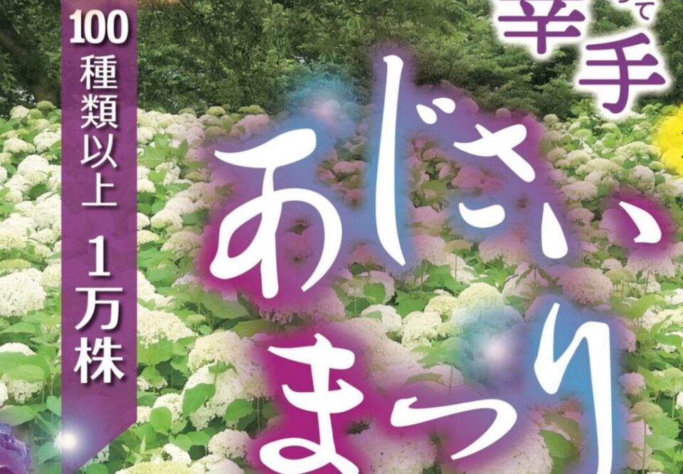 権現堂公園あじさい2026|見頃・駐車場無料・アナベルの絶景|子連れガイド【埼玉幸手】