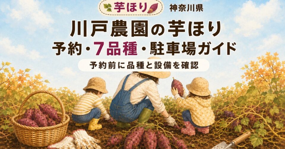 川戸農園の芋ほり2026|収穫時期・予約・駐車場と子連れガイド【神奈川県】