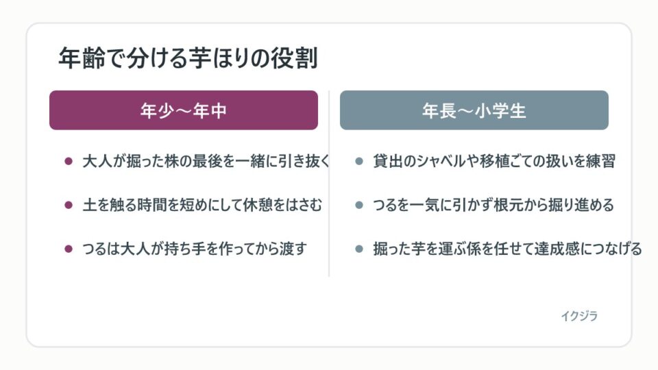 年齢で分ける芋ほりの役割