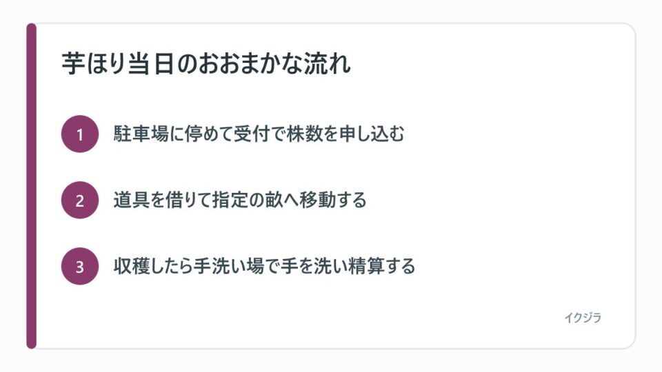芋ほり当日のおおまかな流れ