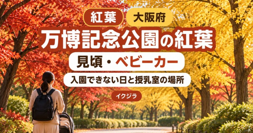 万博記念公園の紅葉2026｜見頃・駐車場と赤ちゃん連れ・ベビーカー【大阪府】