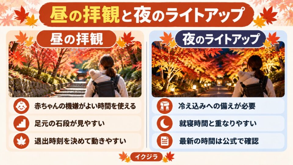 昼の拝観と夜のライトアップ