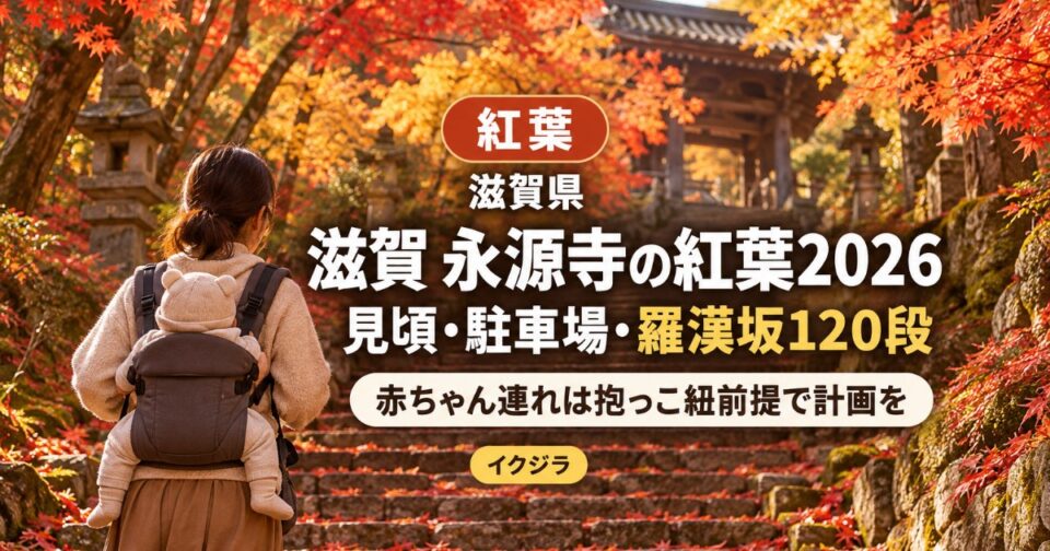 滋賀 永源寺の紅葉2026|見頃・駐車場と赤ちゃん連れ・羅漢坂120段【滋賀県】