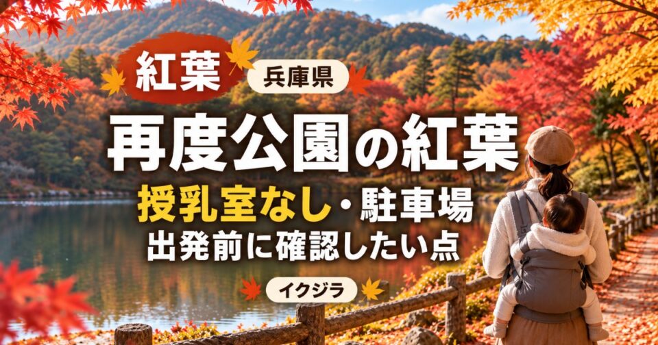 再度公園の紅葉2026｜見頃・駐車場と授乳室なし・赤ちゃん連れの確認点【兵庫県】