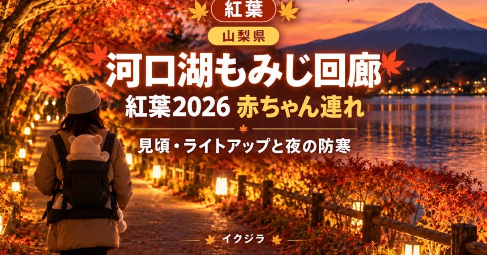 河口湖もみじ回廊の紅葉2026|見頃・ライトアップと赤ちゃん連れ【山梨県】