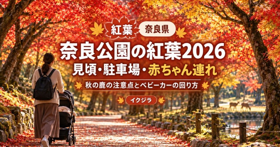 奈良公園の紅葉2026|見頃・駐車場と赤ちゃん連れ・ベビーカーの回り方【奈良県】