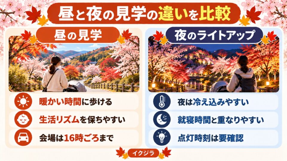 昼と夜の見学の違いを比較